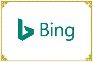 Bing